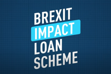 The Brexit Impact Loan Scheme