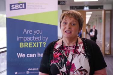 Best of - SBCI "Getting Ireland Brexit Ready" 2018