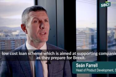 What is the Brexit Loan Scheme?